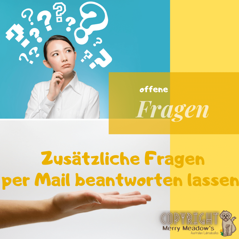 Ernährungspläne (4)